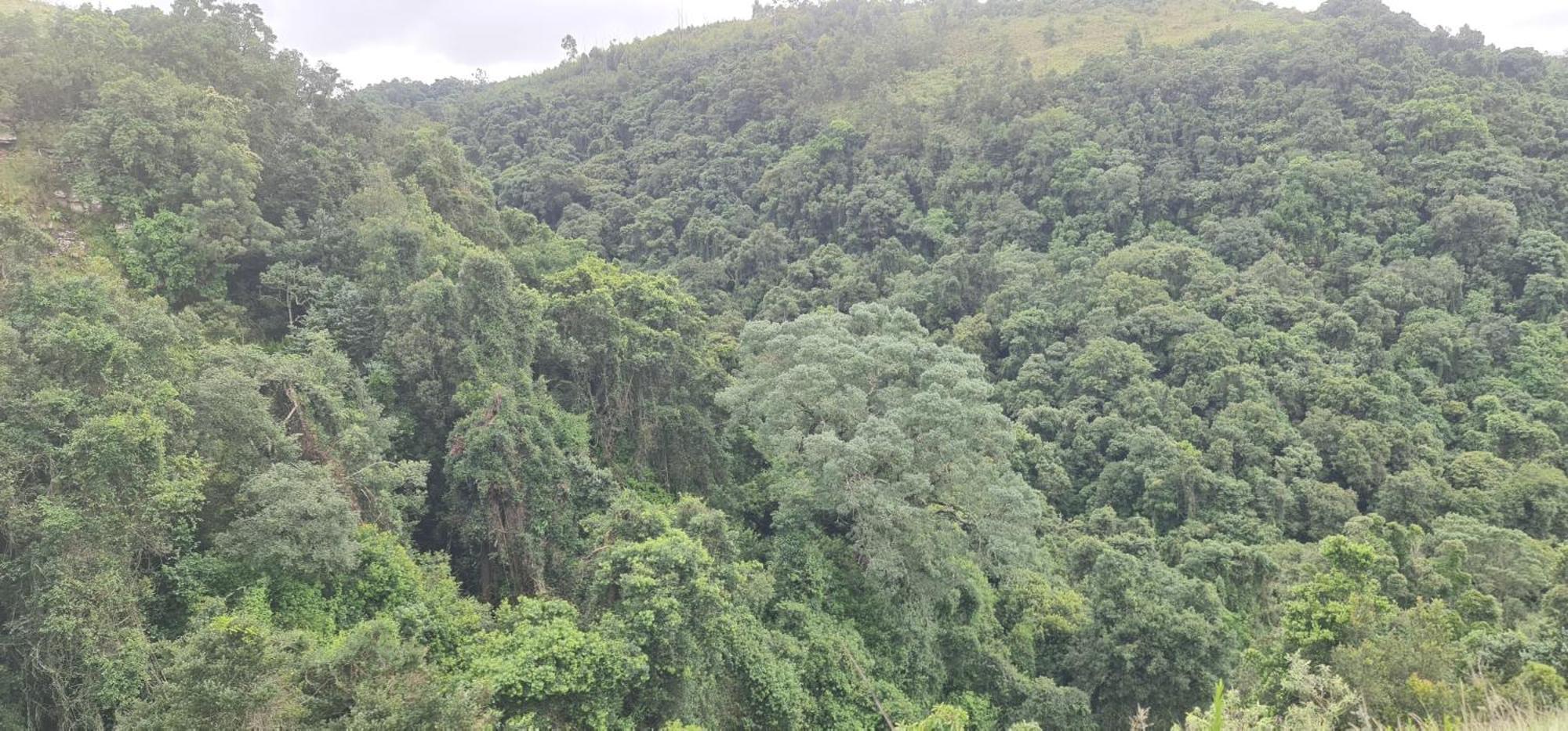 Kukummi Lodge - Formerly Mackaya Bella Country Lodge Champagne Valley 外观 照片