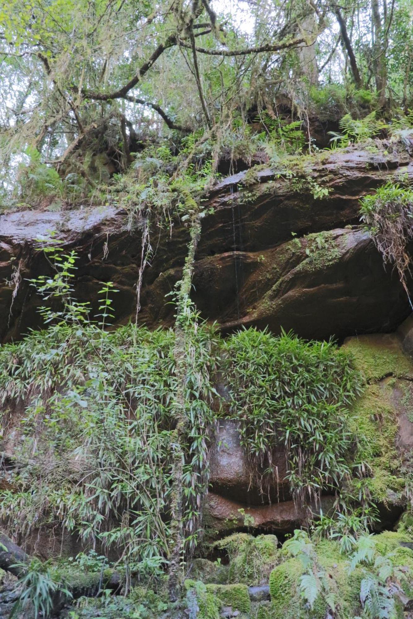 Kukummi Lodge - Formerly Mackaya Bella Country Lodge Champagne Valley 外观 照片