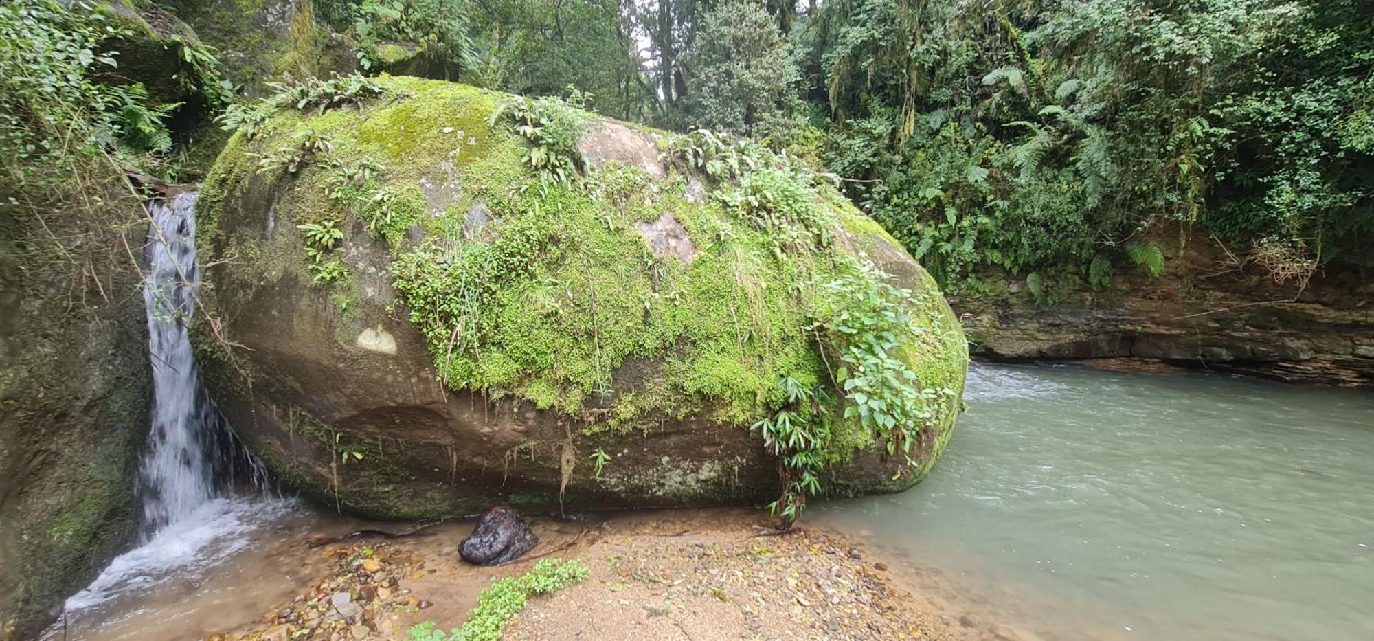 Kukummi Lodge - Formerly Mackaya Bella Country Lodge Champagne Valley 外观 照片