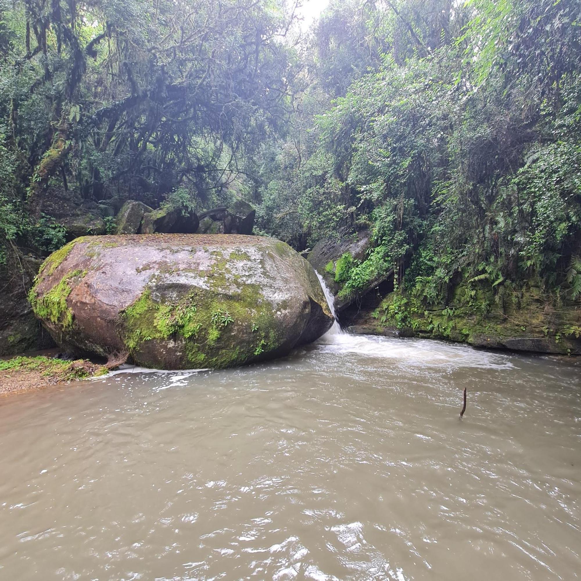 Kukummi Lodge - Formerly Mackaya Bella Country Lodge Champagne Valley 外观 照片